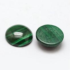 Natur Malachit Cabochons&nbsp;G-O146-03E