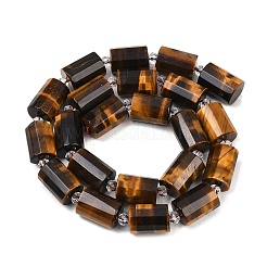 Natürlichen Tigerauge Perlen Stränge&nbsp;G-G453-E01-10x14mm