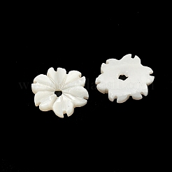 Natürliche Trochus Muschel Blumen Charms&nbsp;SHEL-K006-46B