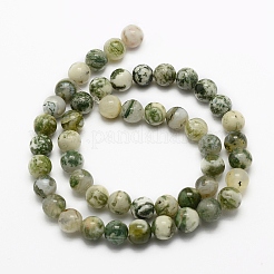 Chapelets de perles en agate d'arbre naturelle&nbsp;G-K194-10mm-02