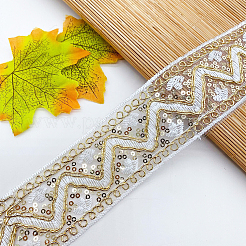 Ruban de dentelle brodé en polyester de 10 yards avec paillette&nbsp;PW-WG94215-03