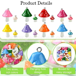 32 pièces 16 styles en plastique opaque avec pendentifs en résine&nbsp;FIND-YW0005-05