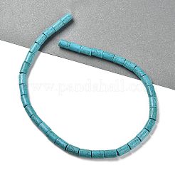 Fili di perline howlite sintetico&nbsp;TURQ-F018-06