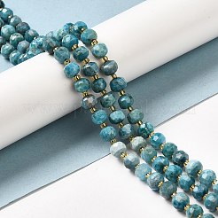 Natürliche Apatit Perlen Stränge&nbsp;G-P508-A15-01