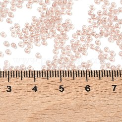 Perles rocailles miyuki rondes&nbsp;X-SEED-G007-RRHB279