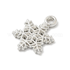 Pendentifs en plastique CCB&nbsp;CCB-I007-08P