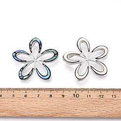 Anhänger aus Legierung und gefärbter natürlicher Paua-Muschel&nbsp;PALLOY-T093-05M
