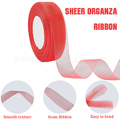 1 rouleau de ruban organza transparent&nbsp;SRIB-CY0001-22A-05