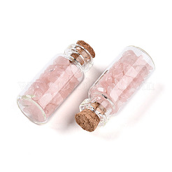 Glas-Wunschflaschen-Display-Dekorationen&nbsp;AJEW-T013-02L