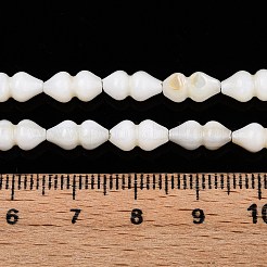 Natürlichen Süßwasser-Muschelperlen Stränge&nbsp;SHEL-N036-02