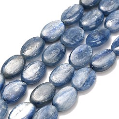 Perline Kyanite naturali fili&nbsp;G-H335-D01-8x12mm