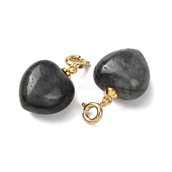 Pendentifs en forme de cœur en larvikite naturelle&nbsp;G-B188-06G-10