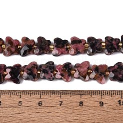 Perline Rhodonite naturale fili&nbsp;G-N371-10A-05