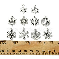 60pcs 10 estilos colgantes de aleación de estilo tibetano&nbsp;FIND-FS0002-21