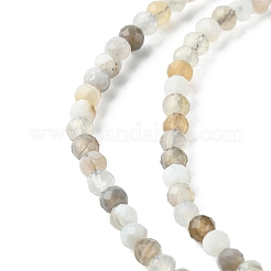 Natur Botswana Achat Perlen Stränge&nbsp;G-F748-B01-01