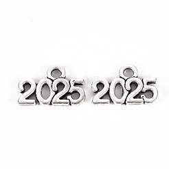 Tibetischen Stil Legierungs Anhänger & Charms&nbsp;TIBE-S323-110AS-RS
