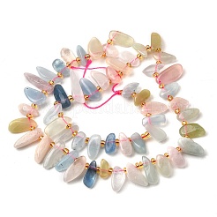 Naturperlen Stränge morganite&nbsp;G-Z091-A05