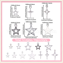 120 pz 12 stili pendenti in lega di stile tibetano&nbsp;FIND-BM0001-48