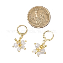 Orecchini a farfalla in acciaio inossidabile 304 con chiusura a leva per donna&nbsp;EJEW-MZ00380-04
