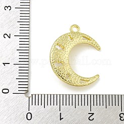 Anhänger aus Acrylperlen aus Zinklegierung&nbsp;PALLOY-F310-06G-02