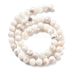 Naturali persiano perle di giada fili&nbsp;G-A255-A02-02K