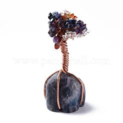 Fichas de piedras preciosas naturales y decoraciones con pantalla de pedestal de fluorita&nbsp;G-S282-02