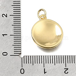Pendentifs en laiton&nbsp;KK-C263-17G