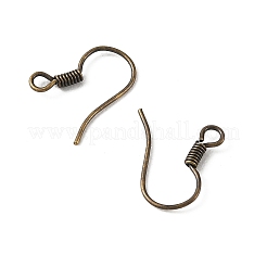 Ganci orecchino di Ferro&nbsp;RN-CBA973B-10A-AB