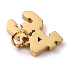 Dijes de acero inoxidable quirúrgico 316&nbsp;LS-STAS-WH0022-84G-34
