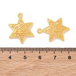 Colgantes de estilo tibetano&nbsp;LS-TIBEP-LF10571YKG-G-FF