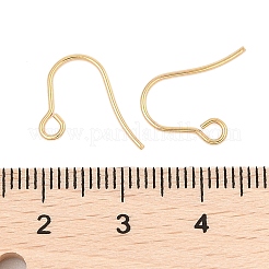 Crochets de boucles d'oreilles en acier inoxydable chirurgical 316&nbsp;LS-STAS-A056-11G-B