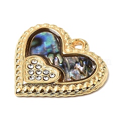 Natur Paua Muschel Anhänger&nbsp;STAS-P431-30G-01