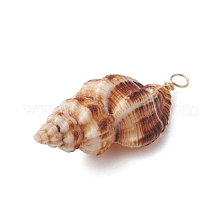 Natürliche Spirale Shell Anhänger&nbsp;PALLOY-JF02950