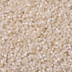 Perles miyuki delica&nbsp;X-SEED-J020-DB1874