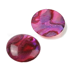Natürliche Abalone-Muschel/Paua-Muschel-Harz-Cabochons&nbsp;SSHEL-K003-10MM-02