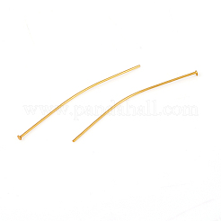 Flachkopfstifte aus Edelstahl 304&nbsp;STAS-L244-02B-G