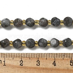 Natürliche Larvikit-Perlenstränge&nbsp;G-K387-A02-01