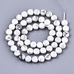 Fili di perline howlite naturale&nbsp;G-N328-023