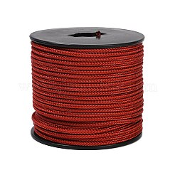 Fils tressés en acier inoxydable 304 recouverts de nylon de 40 m&nbsp;TWIR-P002-01A-05