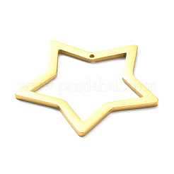 Ciondoli in acciaio inox 304&nbsp;STAS-B044-02G