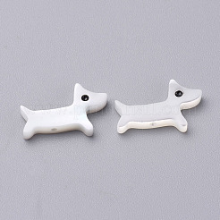 Perles de coquille d'eau douce naturelles chiot&nbsp;SHEL-T007-34