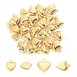 Pendentifs en acier inoxydable 304&nbsp;STAS-UN0018-62G