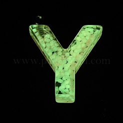 Pendentifs en résine lumineux&nbsp;RESI-I059-Y01