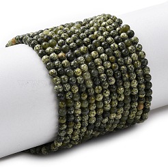 Natürliche Serpentin / grüne Spitze Stein Perlen Stränge&nbsp;G-Z116-A16-3mm