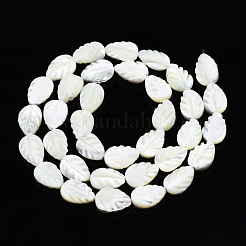Chapelets de perles de coquille de trochid / trochus coquille&nbsp;SSHEL-N034-135B-01
