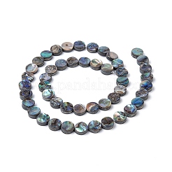 Brins de perles en coquille d'ormeau naturel / coquille de paua&nbsp;LS-SSHEL-G003-5-8x3mm