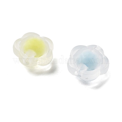 Gefrostet transparent Acrylperlen&nbsp;OACR-A032-16