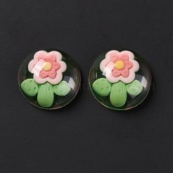 Cabochons aus transparentem Blütenharz&nbsp;RESI-G034-B05