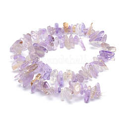 Naturperlen Stränge ametrine&nbsp;G-K220-07