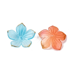 Transparentes bouchons acrylique de perles&nbsp;X-TACR-P011-03G